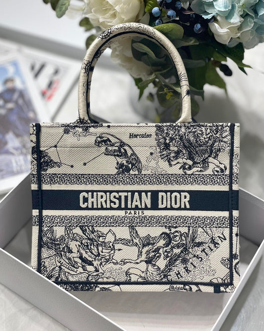 DIOR BOOK TOTE